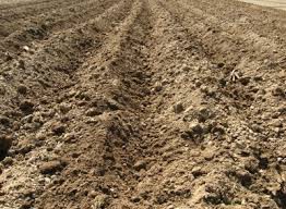 DESPERDICIO DE FÓSFOROS